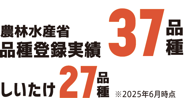農林水産省品種登録実績37品種　しいたけ27品種※2025年6月時点