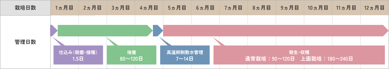 サンマッシュしいたけ栽培管理表