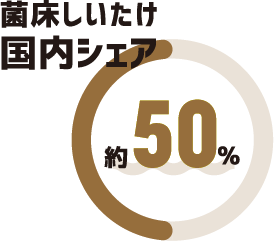 菌床しいたけ国内シェア 約50％